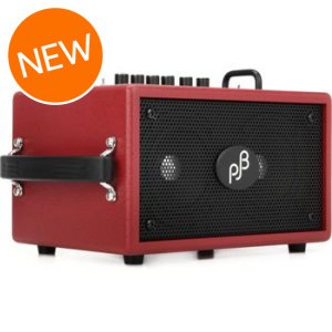 Phil Jones Bass Session 77 100-watt 2 x 7-inch Bass Combo | Sweetwater