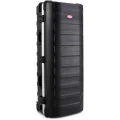 Photo of SKB 1SKB-H5020W ATA XL Stand Case with Wheels