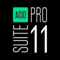 MAGIX ACID Pro 11 Suite for Windows照片