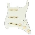 芬达的照片定制一个天生脂肪50年代SSS电吉他Pickguard——羊皮纸3层