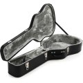 takamine guitar case