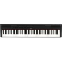 yamaha p115 sweetwater