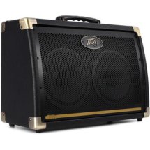 Review the Peavey Ecoustic E208 30-watt 2x8
