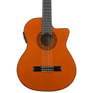 washburn nylon string guitar