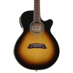 takamine tsp138c thinline