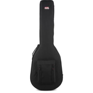 ibanez acoustic bass case