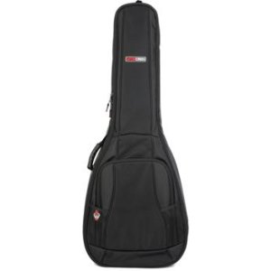 sweetwater gig bag