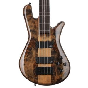 dan briggs spector bass