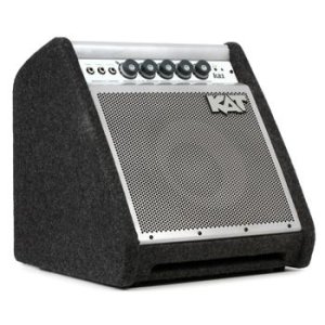 ddrum Drum Bluetooth Amplifier - 50-watt | Sweetwater