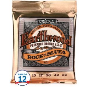 Ernie Ball 2151 Earthwood Phosphor Bronze Acoustic Guitar Strings