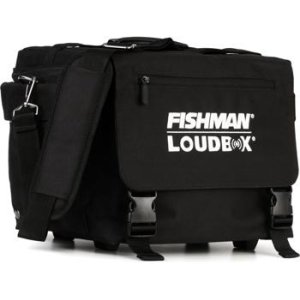 Roland CB-CS2 Carry Bag for Cube Street EX Amp | Sweetwater