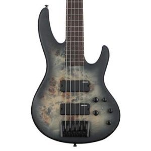 ESP LTD TL-5 Bass Guitar - Natural | Sweetwater