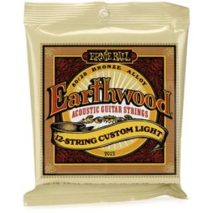 ernie ball 2006 earthwood extra light