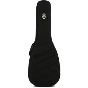 guild deluxe gig bag