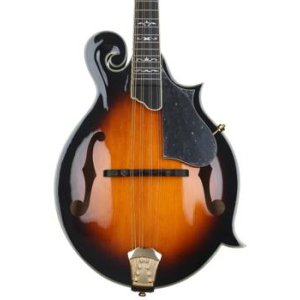 Gold Tone OM800+ Octave Mandolin Gloss Natural w/ Case – Morrell Music  Company