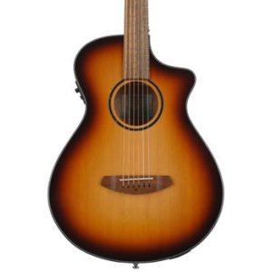 breedlove discovery concert nylon