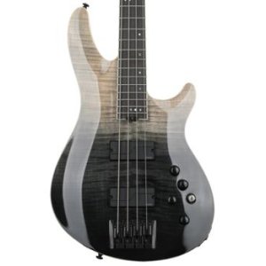 schecter elite bass