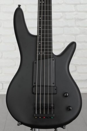 Photo of Ibanez Gary Willis Signature GWB35 Fretless 5-string Bass Guitar - Black Flat