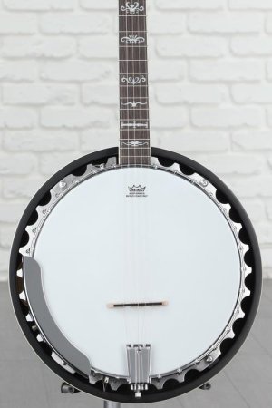 Photo of Washburn Americana B10 5-string Resonator Banjo