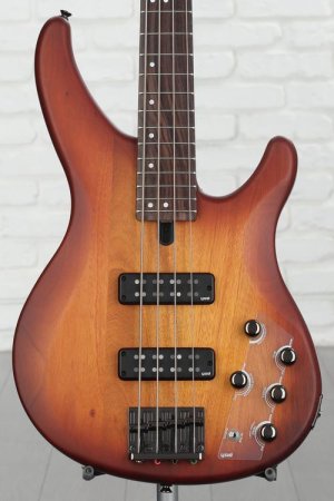 Ibanez Talman TMB30 Bass Guitar and Ampeg Rocket Amp Essentials