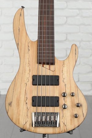 Photo of ESP LTD B-205SM Fretless Bass Guitar - Natural Satin