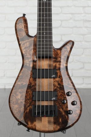 Spector Bass Guitars - Sweetwater