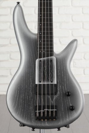 Photo of Ibanez Gary Willis 25th-anniversary Signature 5-string Fretless Electric Bass - Silver Wave Burst Flat