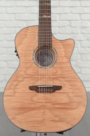 Best Nylon Strings Guitar with Cutaway under 1K? — Audiobus Forum