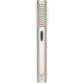 Photo of Royer R-122 MKII Active Ribbon Microphone