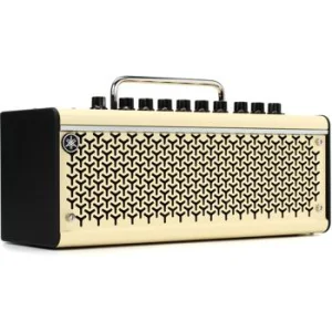 Transmitter PA Amp Foot Switch to Control Amplifier