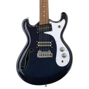 Danelectro 66 clearance