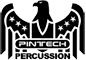 Pintech logo