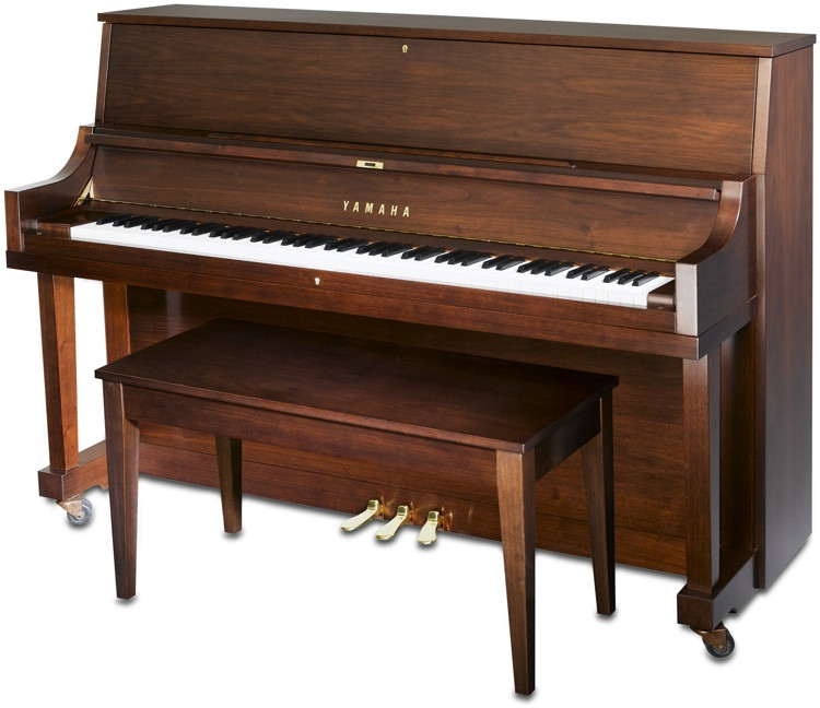 Yamaha P22 Acoustic Piano Satin American Walnut Sweetwater
