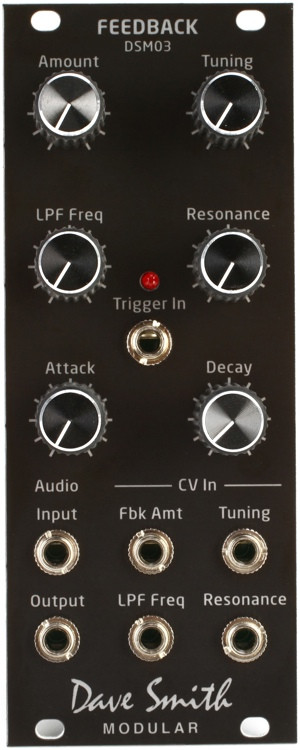 Dave Smith Instruments DSM03 Tuned Feedback Eurorack Module image 1