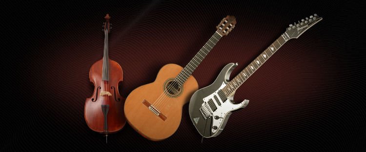 Vienna Symphonic Library Plucked Instruments Bundle - Full ...