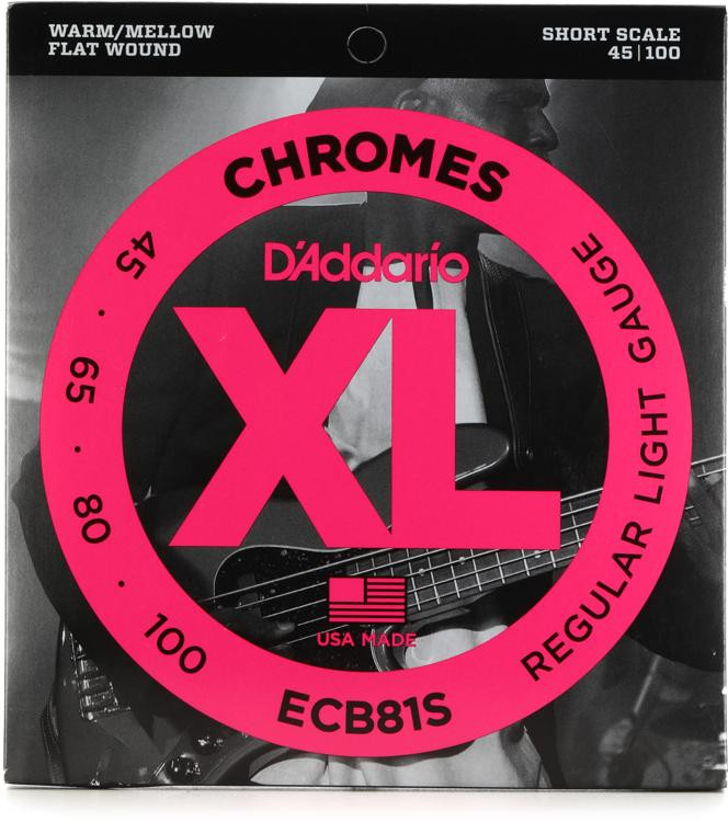 D'Addario ECB81S Chromes Flatwound Bass Guitar Strings .045.100