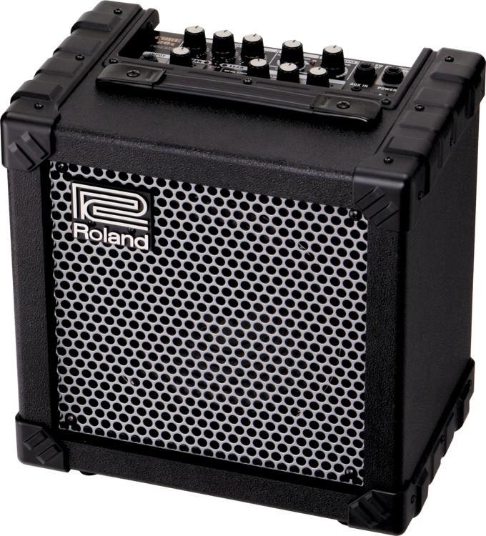 Roland CUBE20X Sweetwater