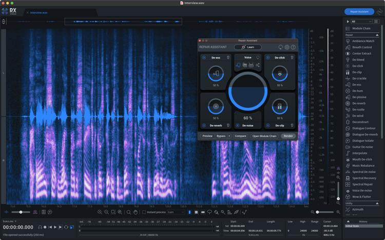 iZotope RX 10 Standard Audio Repair Software