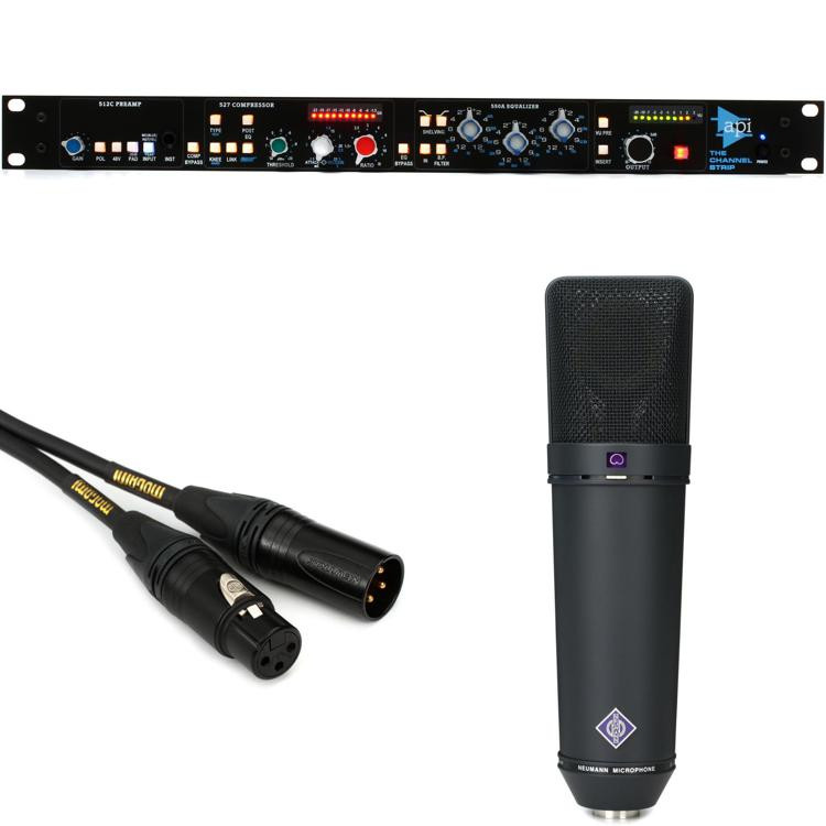 Neumann U87 Ai Large Diaphragm Condenser MIcrophone & API Channel Strip