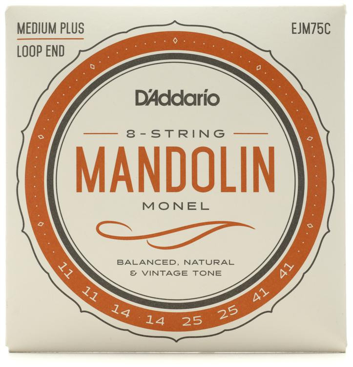 D'Addario EJM75C Monel Loop End Mandolin Strings .011.041 Medium
