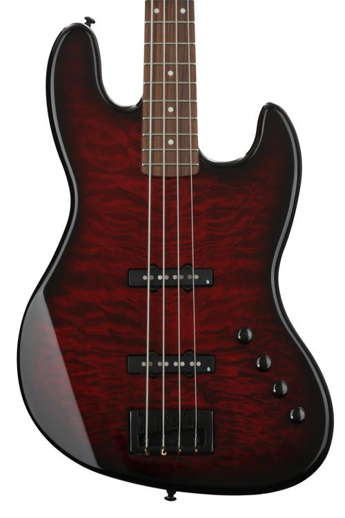 spector pro description