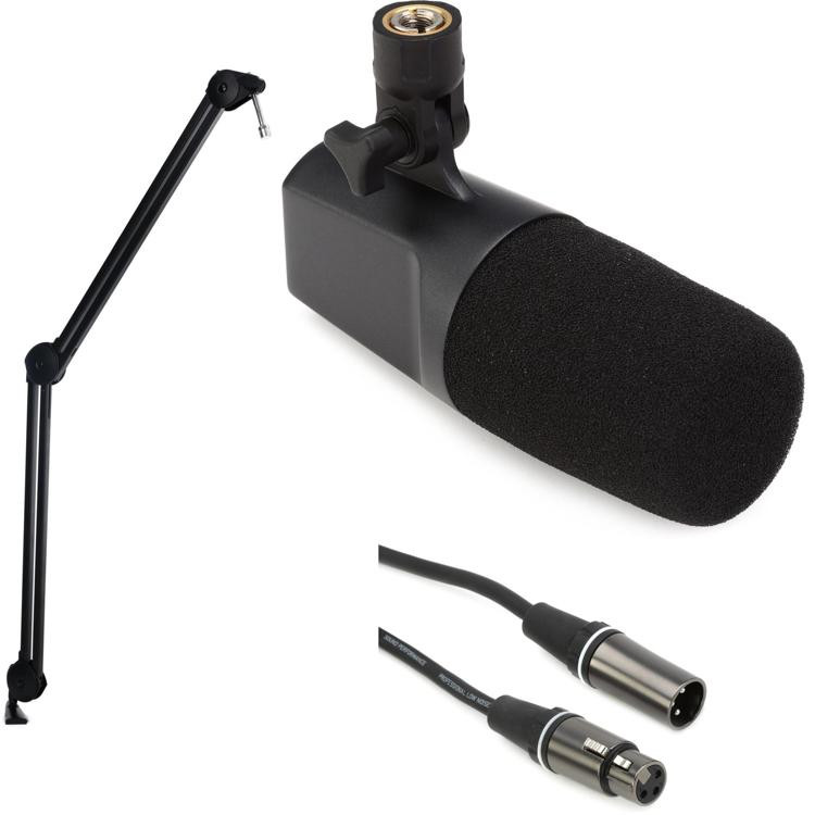 sE Electronics DCM6 DynaCaster Broadcast Dynamic Microphone Stand