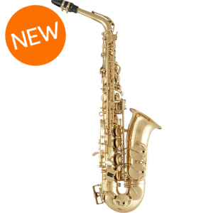 Selmer SAS511 Intermediate Alto Saxophone - Lacquer