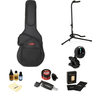 SKB 1SKB-SC18 Acoustic Dreadnought Guitar Soft Case Essential Care Bundle