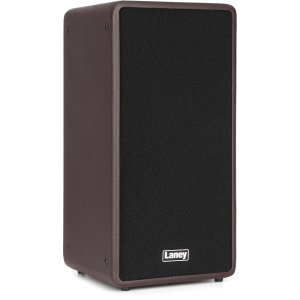 Laney A-Duo 120-watt 2 x 8-inch Acoustic Combo Amplifier