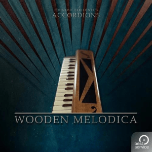 Best Service Accordions 2 Single Wooden Melodica Plug-in