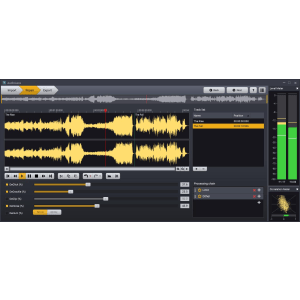 Acon Digital AudioLava 2 Audio Cleaning Software