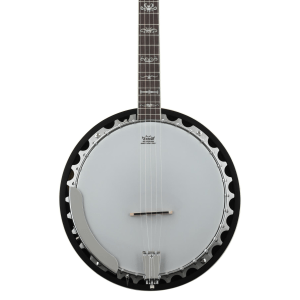 Washburn Americana B10 5-string Resonator Banjo