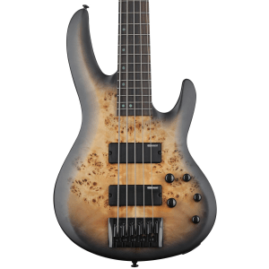 ESP LTD B-5 Ebony Bass Guitar - Charcoal Burst Satin