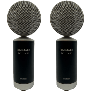 Pinnacle Microphones Fat Top II Ribbon Microphone Stereo Pair with Lundahl Transformer - Black